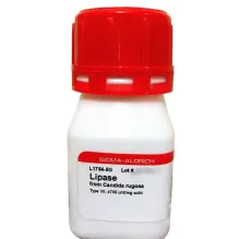 آنزیم لیپاز 5 گرم