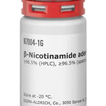N7004 بتا نیکوتینامید آدنین دی نوکلئوتید هیدرات 10 گرم